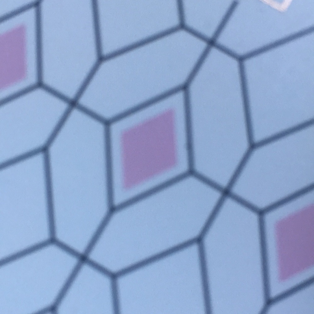 Meet your Posher, Yaletzy